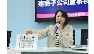 王鴻薇輸了喊上訴！控潘孟安「財團供養」一審判賠50萬 北院：未合理查證