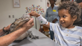 See animals from SeaWorld visit patients at Sacramento's Sutter Hospital