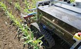 Agricultural robot