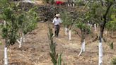 Alertan por sequía y crisis en campo de Zacatecas; cabildean recurso