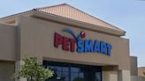 PetSmart Is on the Hunt for Their Next ‘Chief Toy Testers'