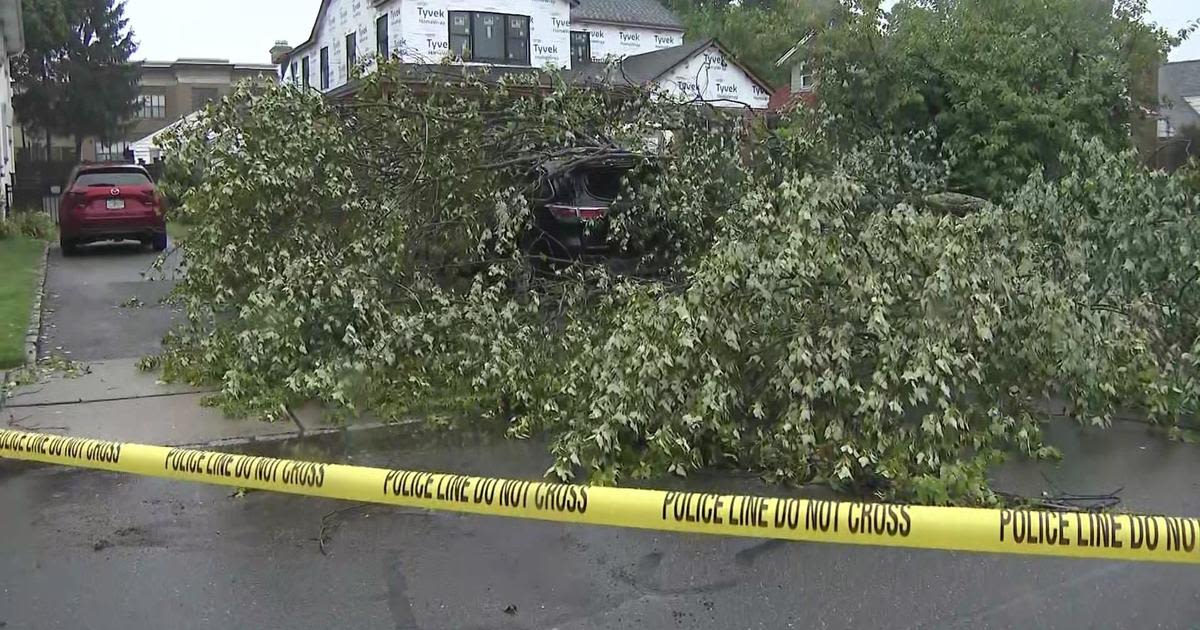 Cleanup after flooding, fallen trees reported across NYC and New Jersey as more severe weather heads our way