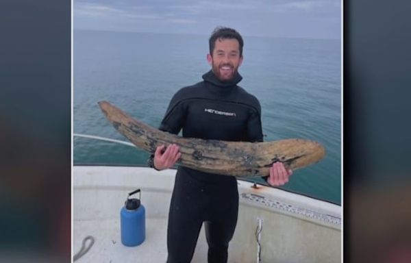 Millions of years old? Diver discovers mastodon tusk off Florida coast