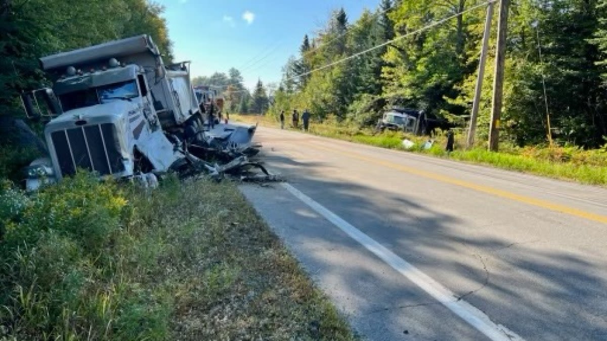 Driver critically injured in crash involving moose, 2 dump trucks