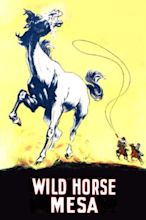 ‎Wild Horse Mesa (1925) directed by George B. Seitz • Reviews, film ...