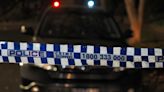 Woman fighting for life after hit-run in Geelong