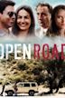 Open Road (2012 film)