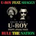 Rule the Nation [Groove Armada Remix]
