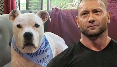 Dave Bautista Shares His Dog’s Cancer Treatment Journey