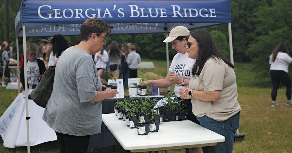 UGA Extension, Fannin County partner to conserve fireflies