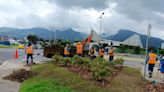 Con 400 árboles se combate el calor en Quito