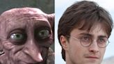 'Harry Potter' fans are being told to stop leaving socks at Dobby's grave in Wales because 'it could put wildlife at risk'
