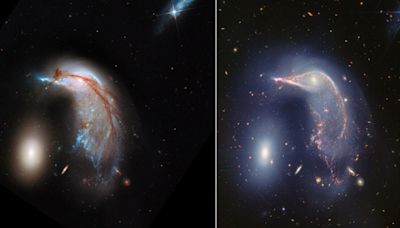 2 galaxies, the Penguin and the Egg, get a family portrait thanks to Webb Telescope