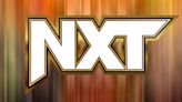 WWE Announces Two Arena-Based NXT Premium Live Events For the Fall