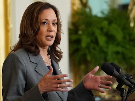 Harris goes to the border to take Trump to task for blocking bill to fix migration issues: ‘He prefers to run on a problem’ | CNN Politics