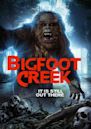 The Legacy of Boggy Creek