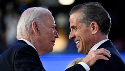 Judge mulling Hunter Biden's guilty plea offer after prosecutors oppose