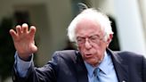 'What do people stand for?': Bernie Sanders says there are 'broader issues' beyond Joe Biden's age in 2024