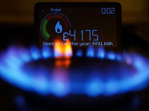 Every household should be forced to have a smart meter, says British Gas boss