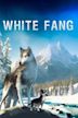 White Fang