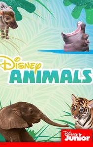 Disney Animals