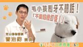 【寵物專輯】毛小孩刷牙不聽話！ 醫籲：「不要越級打怪！」毛小孩口腔問題Ｑ＆Ａ