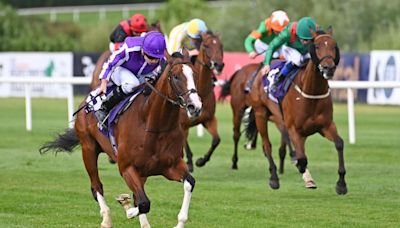 O'Brien's Diego Velazquez destroys rivals at Leopardstown