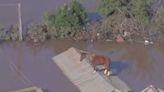 Antes e depois: veja o local de resgate do cavalo Caramelo após água baixar no RS