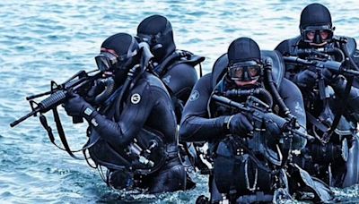 Navy Seals spark backlash with 'woke' post leaving US 'terrified' for future