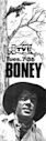 Boney (TV series)