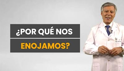 ¿Por qué nos enojamos? Cuatro reglas para volver a la calma