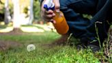 How to Get Rid of Weeds in Your Lawn With 8 Easy Methods