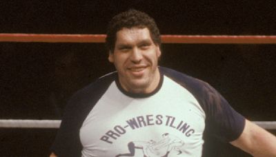 The Tremendous Number Of Beers Andre The Giant Could Throw Back