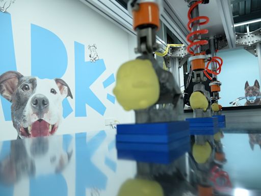 BARK's Cool New ‘Toy Safety’ Protocols Could Change the Pet World Forever