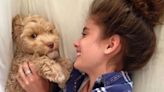 Taylor Hill Announces Death of 9-Year-Old Dog Tate: 'I Hope We Get to Meet Again Soon'