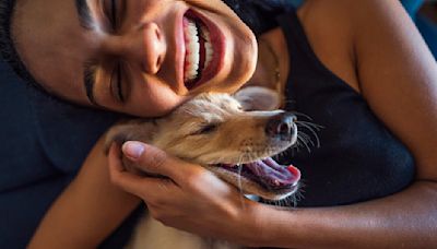 6 Signs Of A Happy Dog, According To Veterinarians