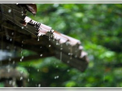 Monsoon revival expected across India, heavy rains for west coast and eastern regions - CNBC TV18