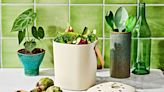 6 Ways to Make Your Kitchen More Sustainable