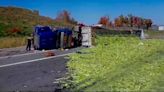 'On my way with a bottle of Cheese Whiz': Major Ontario highway closed due to celery spillage