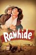 Rawhide (1951 film)