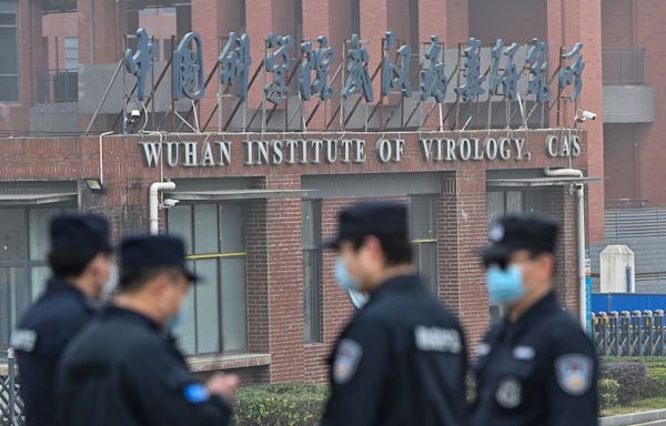 Classified docs 'credibly' suggest COVID originated from Wuhan lab leak, covered up by CCP: House Rep