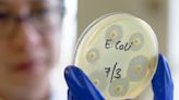 E. Coli Outbreak Now in 4 States, Leaves 38 Ill as CDC Investigates