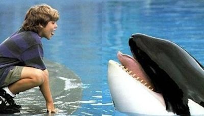 La desgarradora historia de lo que pasó con la orca Keiko tras protagonizar Liberen a Willy