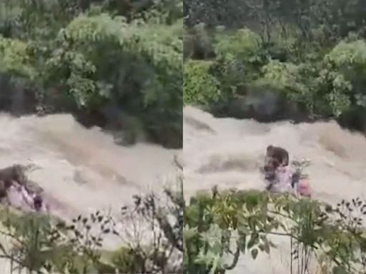 Family of 7 Swept Away In Torrential Lonavala Waterfall; Viral Video Captures Horrific Scene