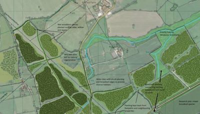 Residents' views wanted on plans for new 52-hectare Coronation Wood in south Shropshire