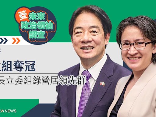 菱未來政治領袖調查／賴蕭黨政組奪冠 縣市長立委組綠營居領先群