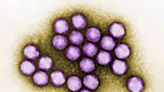 Diarrhea-causing virus spreads in Palm Beach County. A respiratory illness is also rising