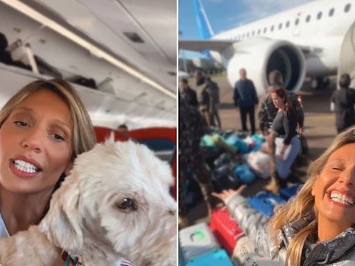 Luisa Mell viaja para SP com mais de 100 animais resgatados no RS: "Estavam em abrigos precários e gelados"