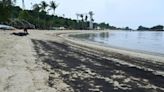 Singapore’s Sentosa island beaches closed due to oil spill | Fox 11 Tri Cities Fox 41 Yakima