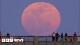 Moving images of the Pink Moon in Florida and New York